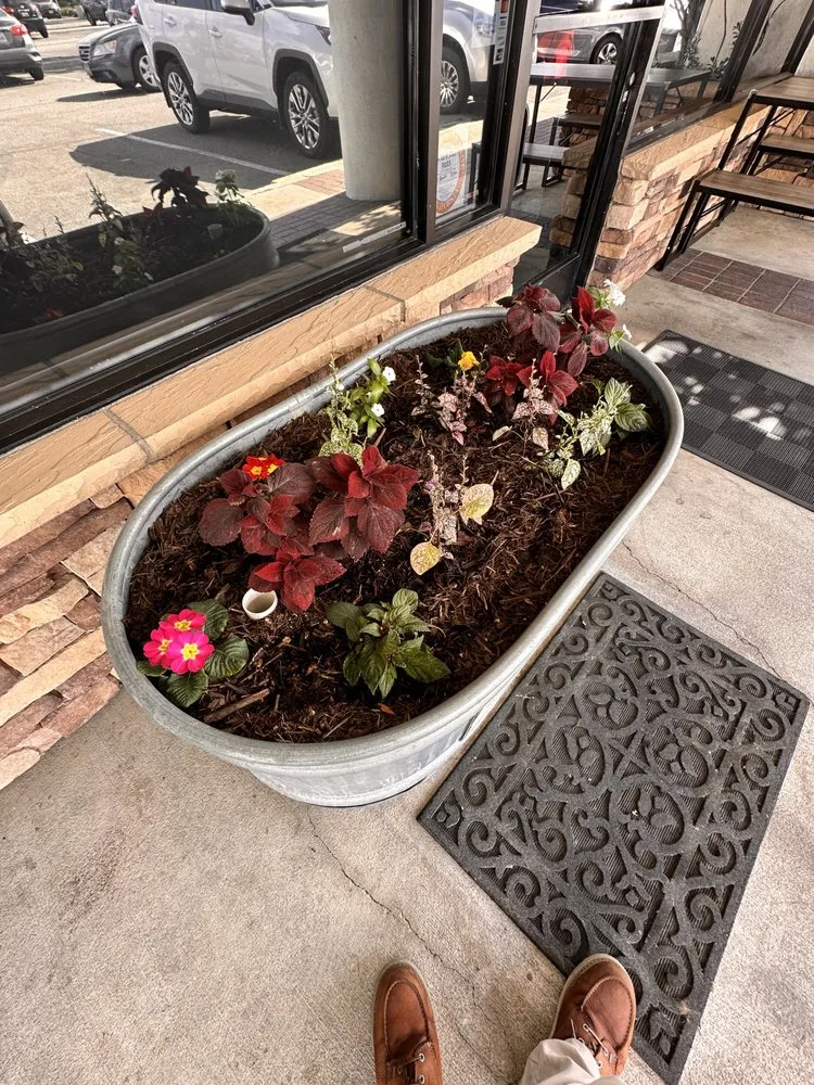 Affordable lawn mowing service in Anaheim, CA - Green Thumb Gardening