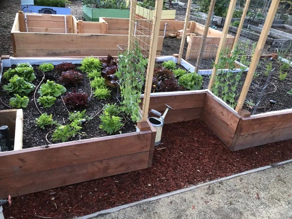 Custom residential landscaping for outdoor upgrades in Anaheim, CA by Green Thumb Gardening