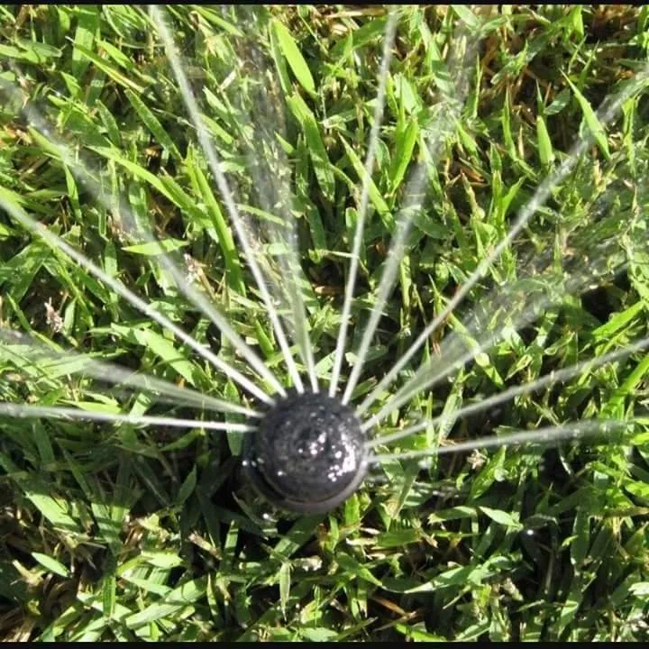 Reliable lawn care service in Cedar Park, TX - Green Thumb Irrigation