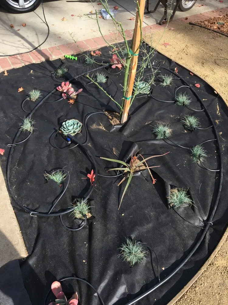 Reliable garden landscaping in Burbank, CA by Green Thumb Landscape & Maintenance