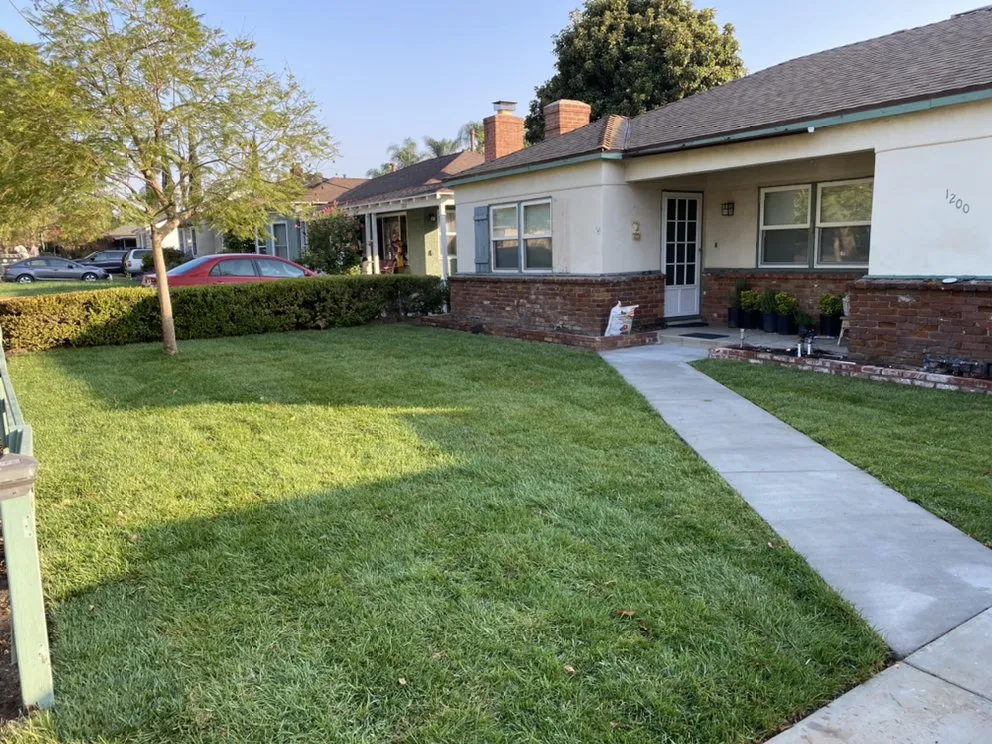 Affordable yard cleanup service near you across Burbank, CA - Green Thumb Landscape & Maintenance