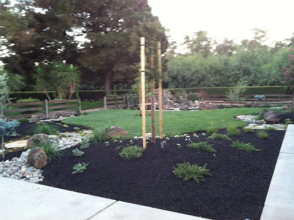 Local yard cleanup service with custom design in Escalon, CA by Green Thumb Landscape