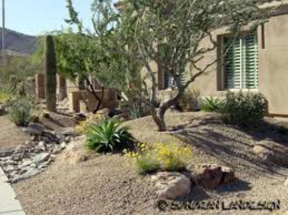 Trusted outdoor landscaping in Phoenix, AZ - Green Thumb Landscaping and Installs