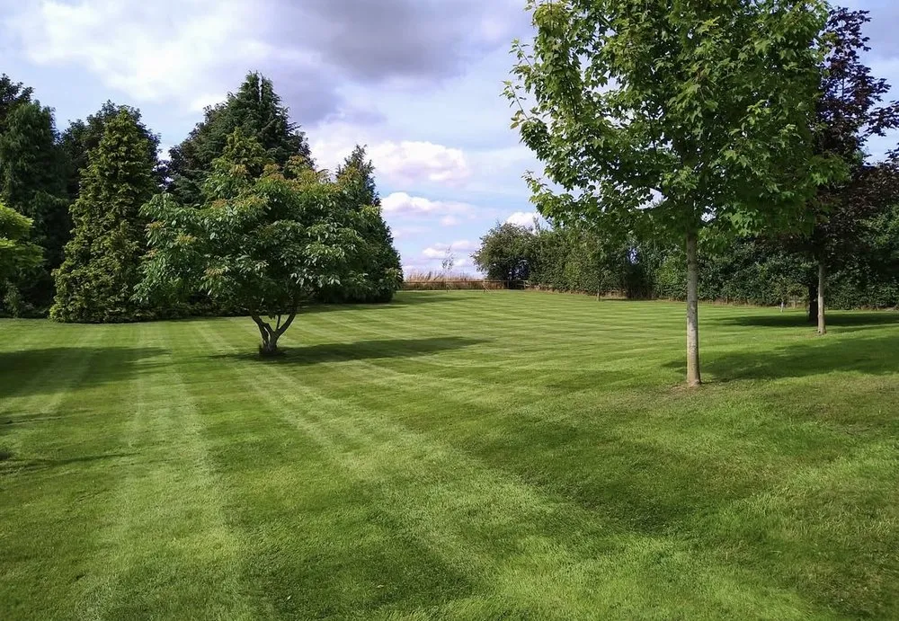 Professional outdoor landscaping with custom design in Bloomington, IN by Green Thumb Landscaping