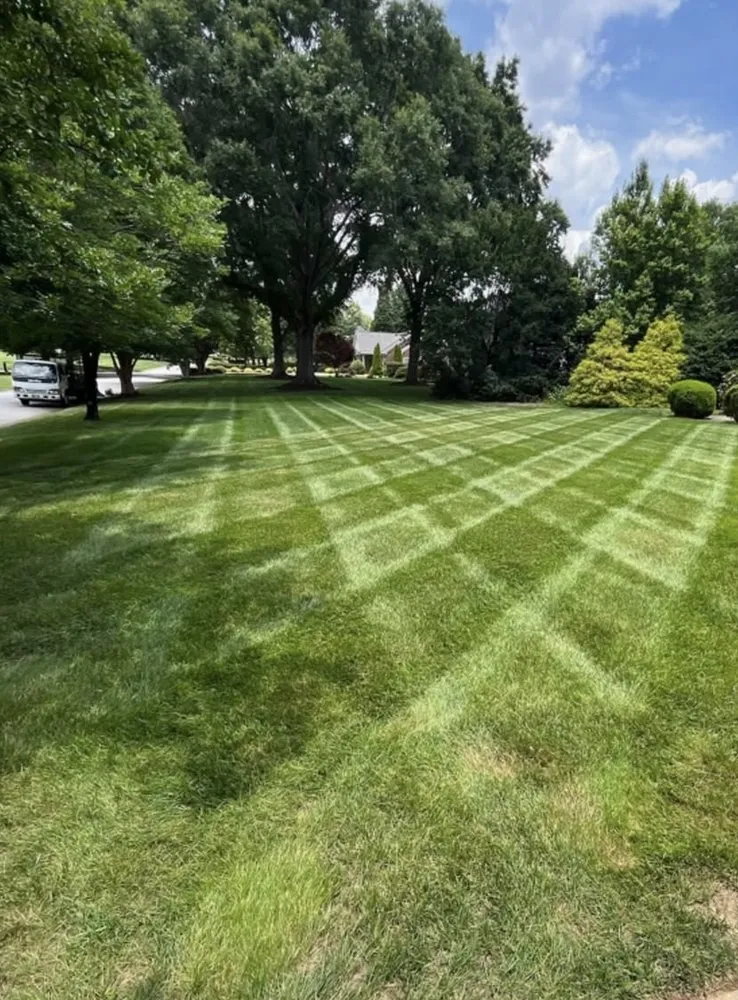 Professional yard maintenance for residential properties in Bloomington, IN by Green Thumb Landscaping