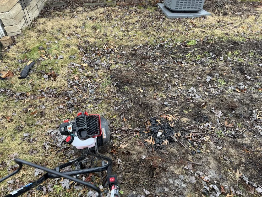 Reliable yard maintenance for year-round maintenance in Bloomington, IN by Green Thumb Landscaping