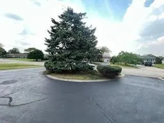 Top-rated landscaping services for beautiful yards in Elgin, IL by Green Thumb Landscaping