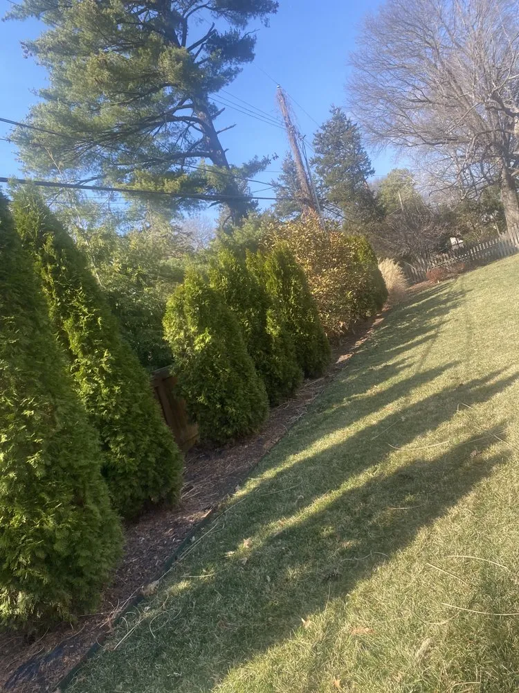 Custom landscape installation for homes in Kansas City, KS by Green Thumb Landscaping