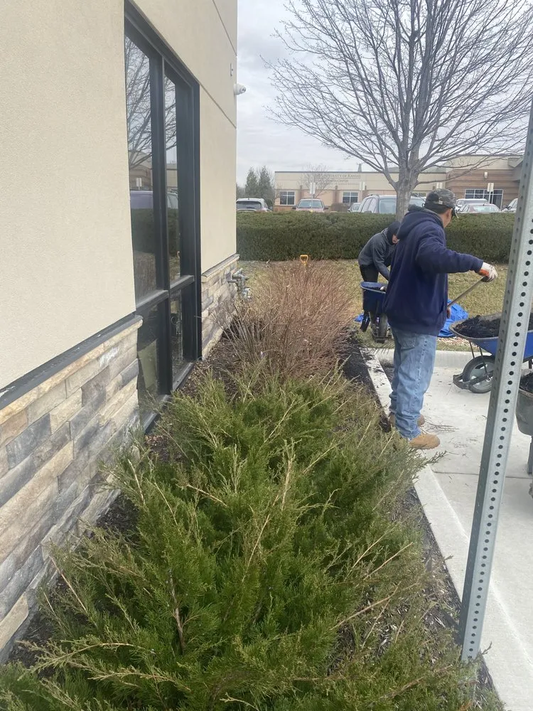 Expert lawn care service for beautiful yards across Kansas City, KS - Green Thumb Landscaping