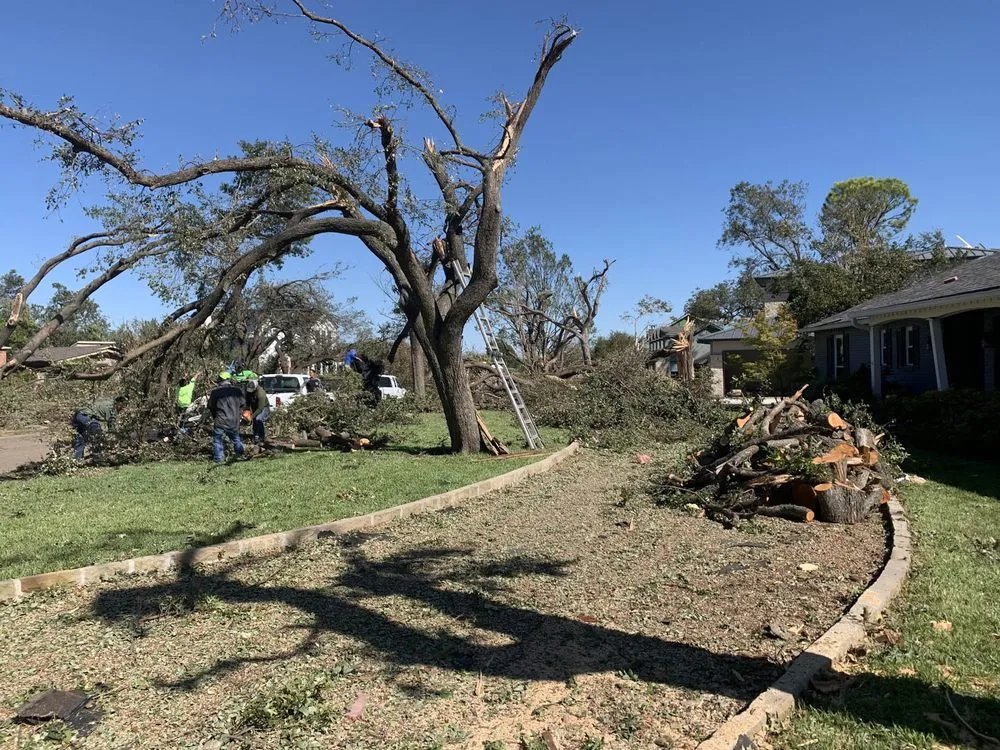 Affordable residential landscaping experts serving Lewisville, TX - Green Thumb Landscaping