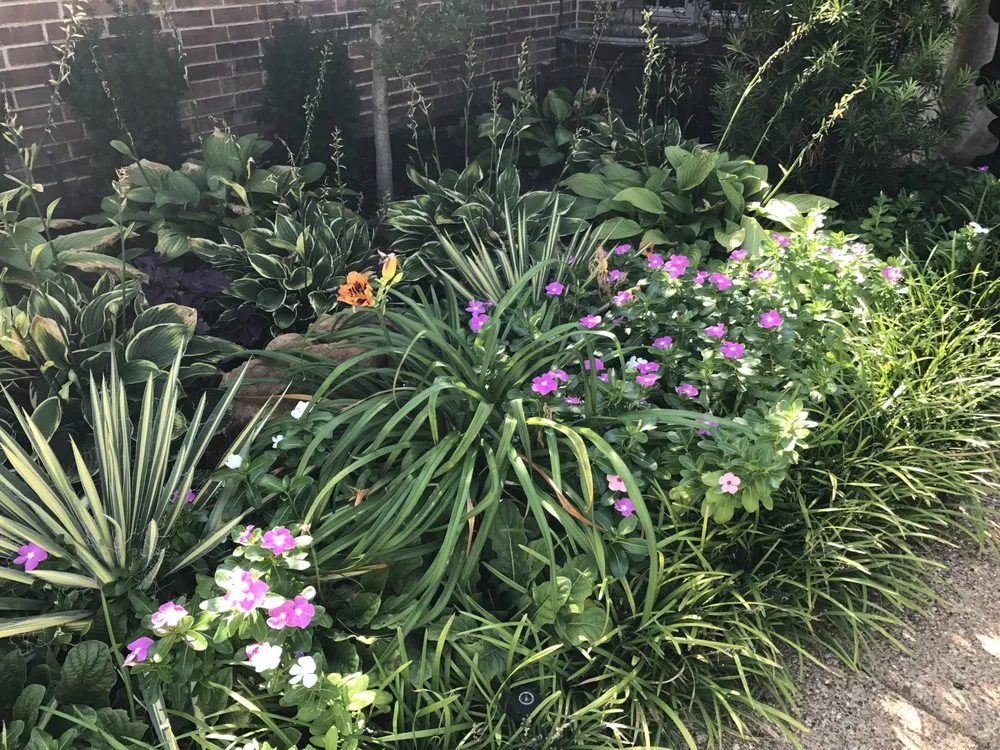 Affordable lawn mowing service in Lewisville, TX - Green Thumb Landscaping