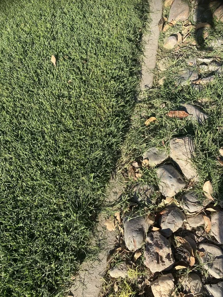 Professional lawn mowing service experts serving Lodi, CA - Green Thumb Landscaping