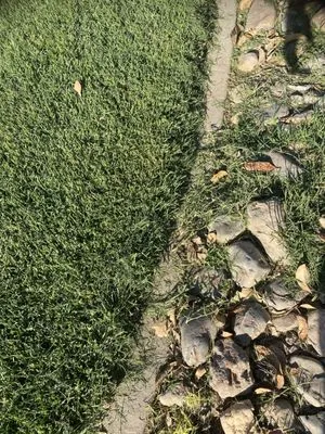 Green Thumb Landscaping Logo