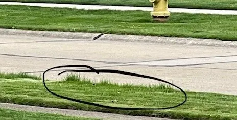 Expert yard cleanup service experts serving Lorain, OH - Green Thumb Landscaping