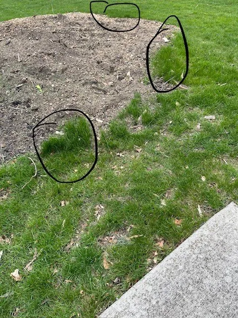 Affordable residential landscaping experts serving Lorain, OH - Green Thumb Landscaping