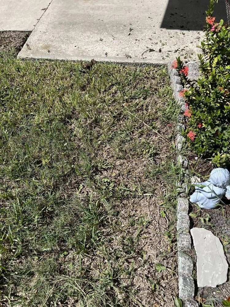 Local lawn care service experts serving Melbourne, FL - Green Thumb Landscaping