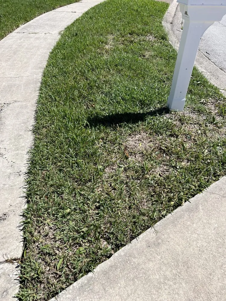 Reliable landscape design experts serving Melbourne, FL - Green Thumb Landscaping