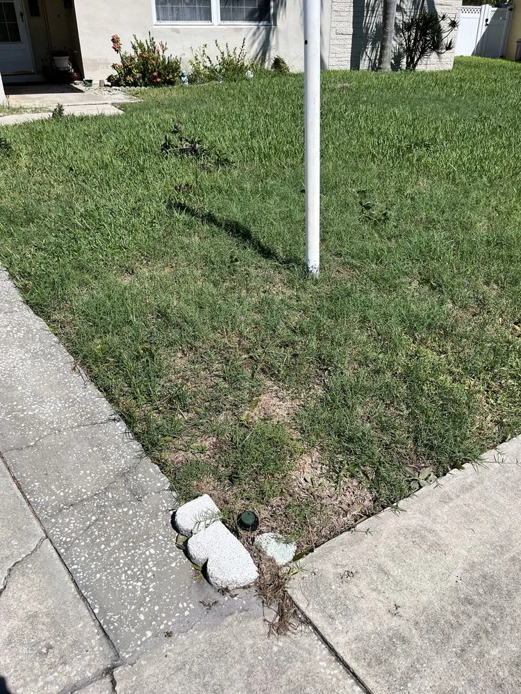 Professional lawn care service for homes across Melbourne, FL - Green Thumb Landscaping