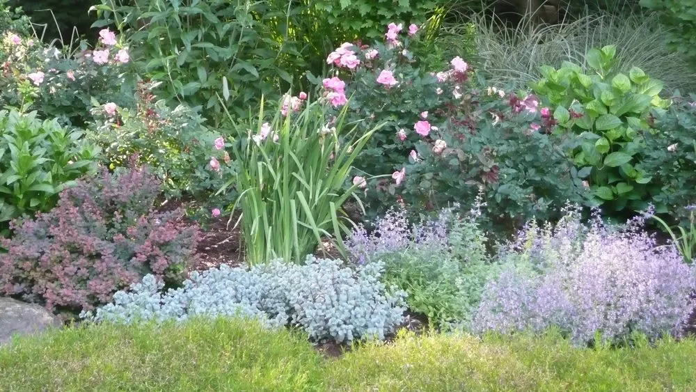 Professional yard maintenance in Trumbull, CT - Green Thumb Landscaping