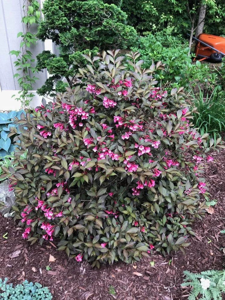 Trusted lawn mowing service with custom design in Trumbull, CT by Green Thumb Landscaping