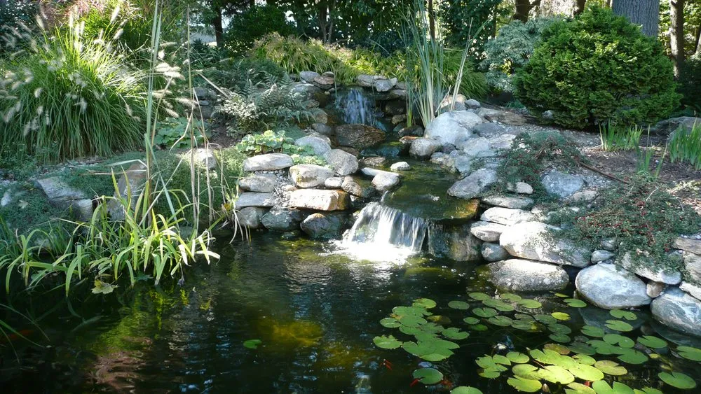 Trusted yard maintenance for beautiful yards in Trumbull, CT by Green Thumb Landscaping