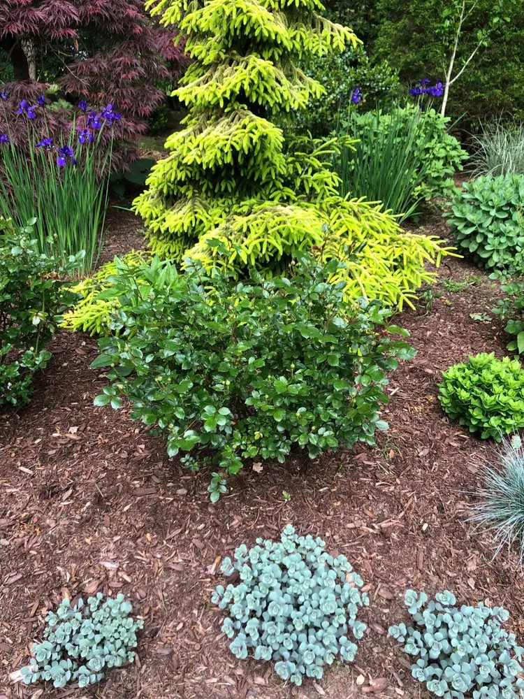 Local yard maintenance with custom design across Trumbull, CT - Green Thumb Landscaping