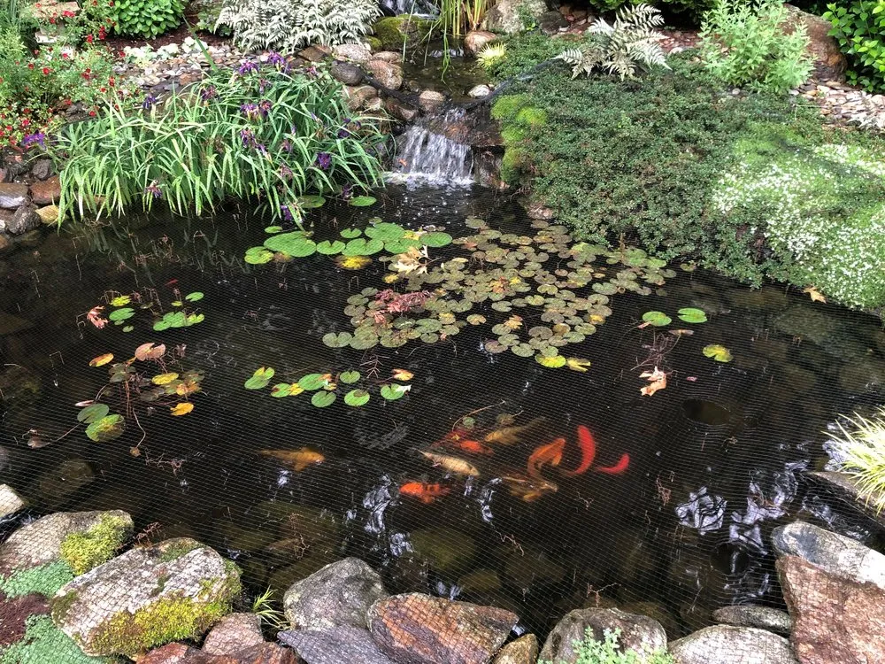 Reliable outdoor landscaping for year-round maintenance in Trumbull, CT by Green Thumb Landscaping