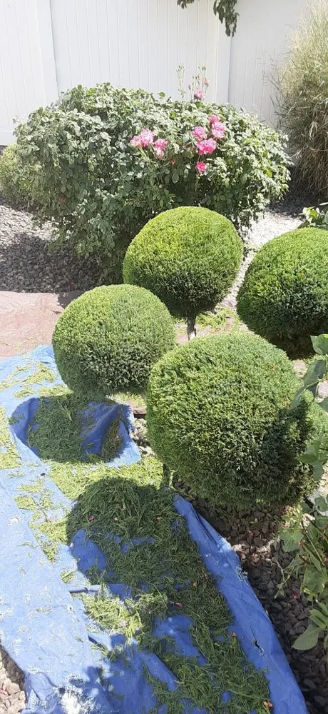 Affordable lawn care service in Yakima, WA - Green Thumb Landscaping