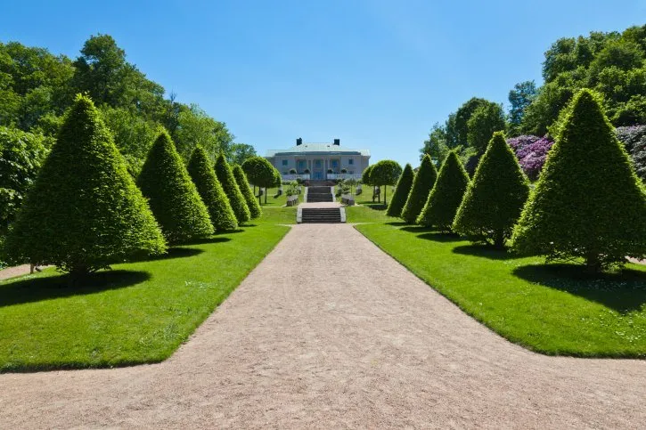 Custom yard maintenance for year-round maintenance across Laurel, MD - Green Thumb Lawn & Landscaping