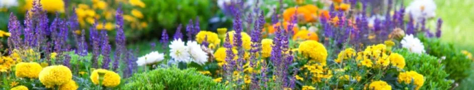 Trusted garden landscaping in Laurel, MD - Green Thumb Lawn & Landscaping