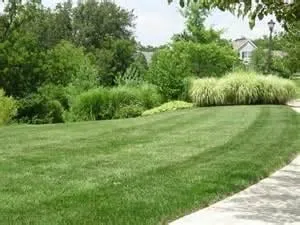 Trusted lawn mowing service in Ocala, FL - Green Thumb Lawn Care & Clean Up Service