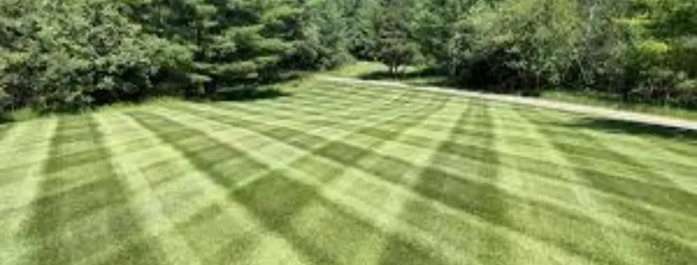 Professional yard cleanup service experts serving North Myrtle Beach, SC - Green Thumb Lawn Care
