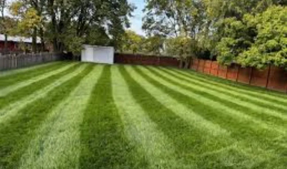 Trusted lawn mowing service for outdoor upgrades in North Myrtle Beach, SC by Green Thumb Lawn Care