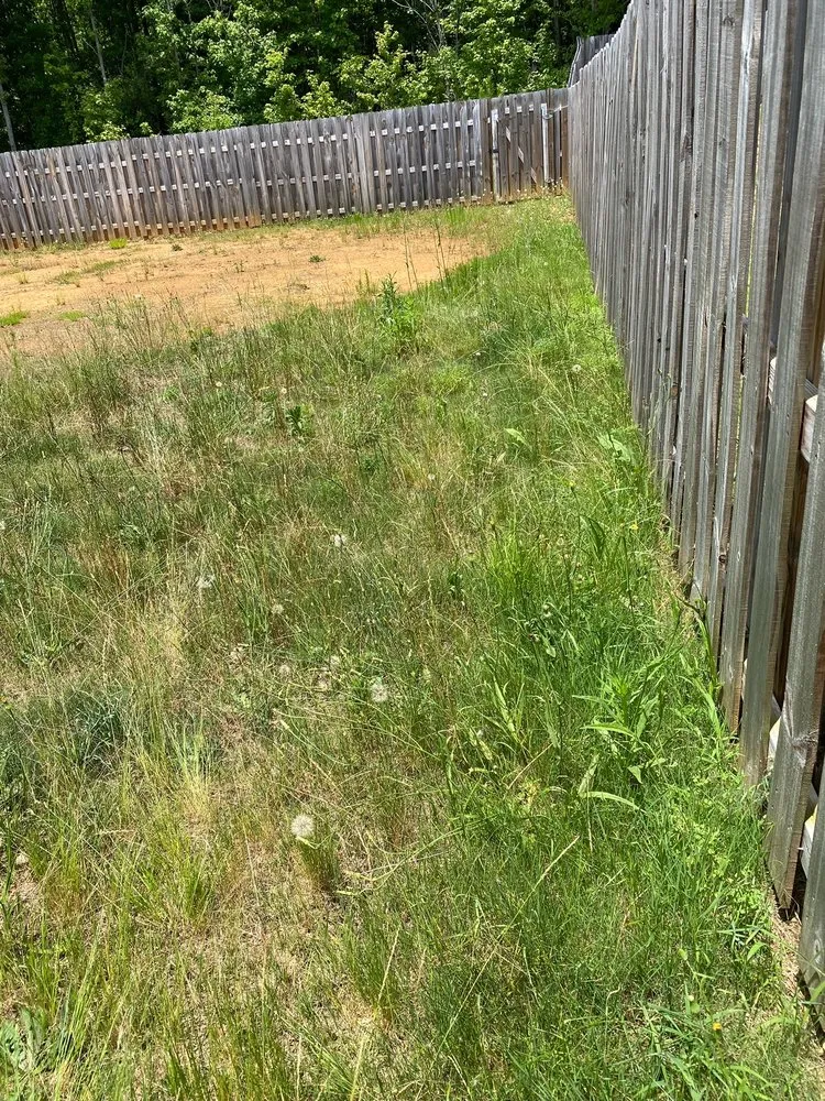 Trusted landscaping services experts serving Woodruff, SC - Green Thumb Lawn Care Solutions