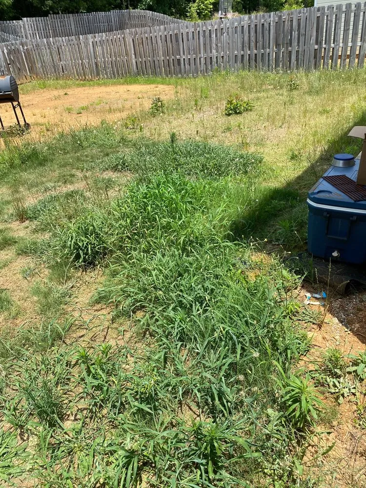 Top-rated landscape installation experts serving Woodruff, SC - Green Thumb Lawn Care Solutions