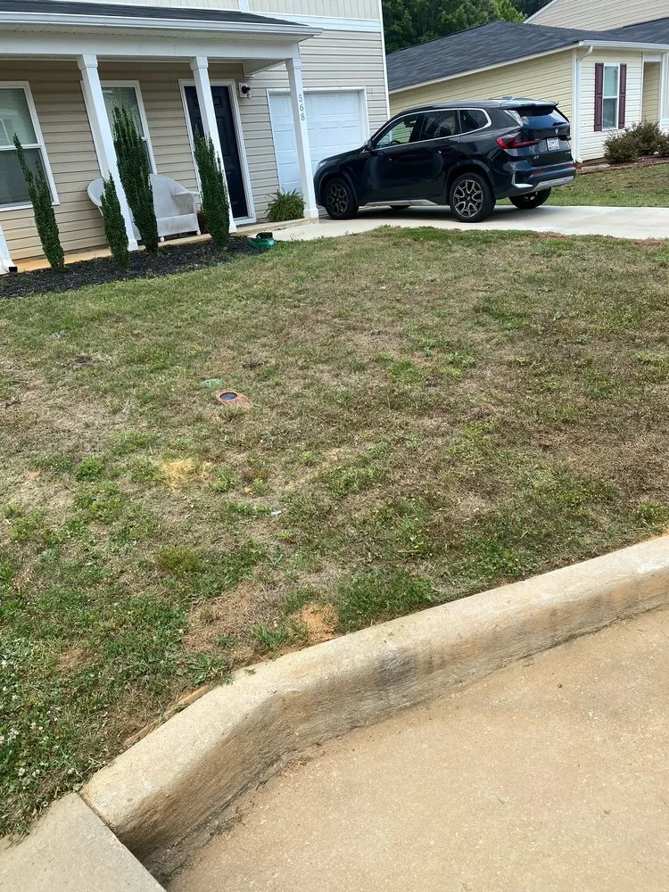 Reliable lawn care service in Woodruff, SC by Green Thumb Lawn Care Solutions