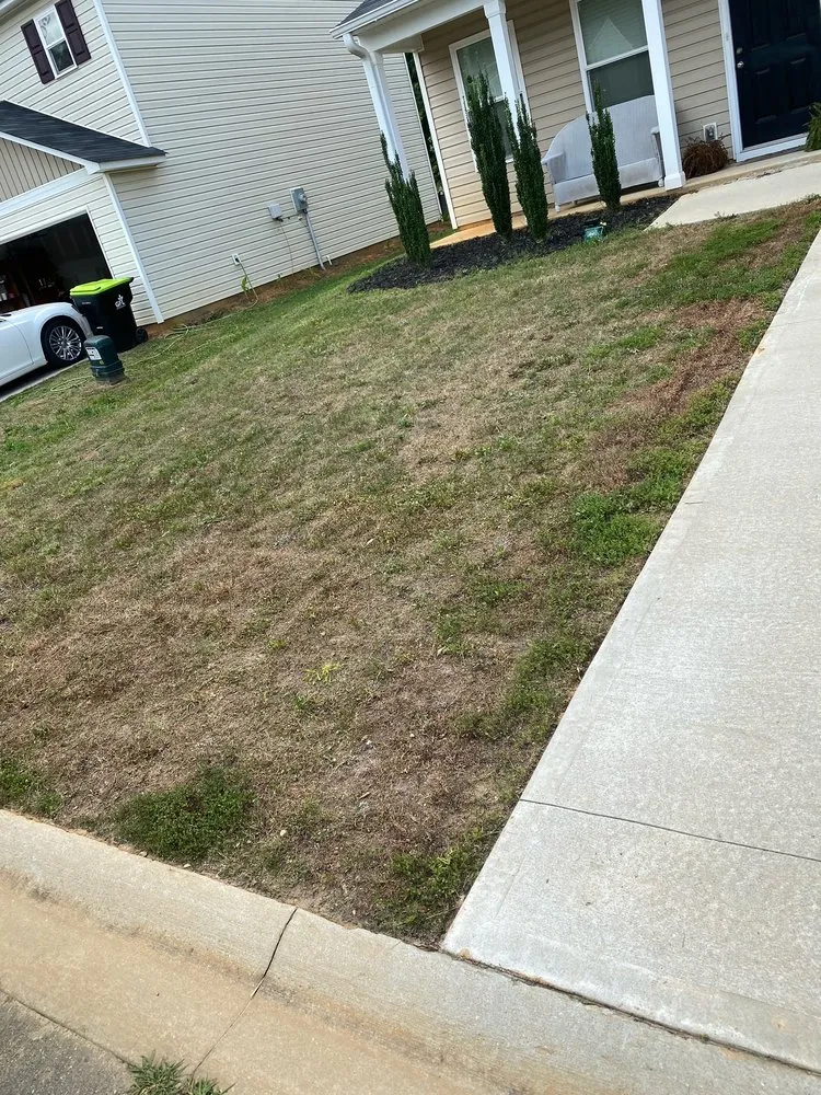Professional garden landscaping near you across Woodruff, SC - Green Thumb Lawn Care Solutions
