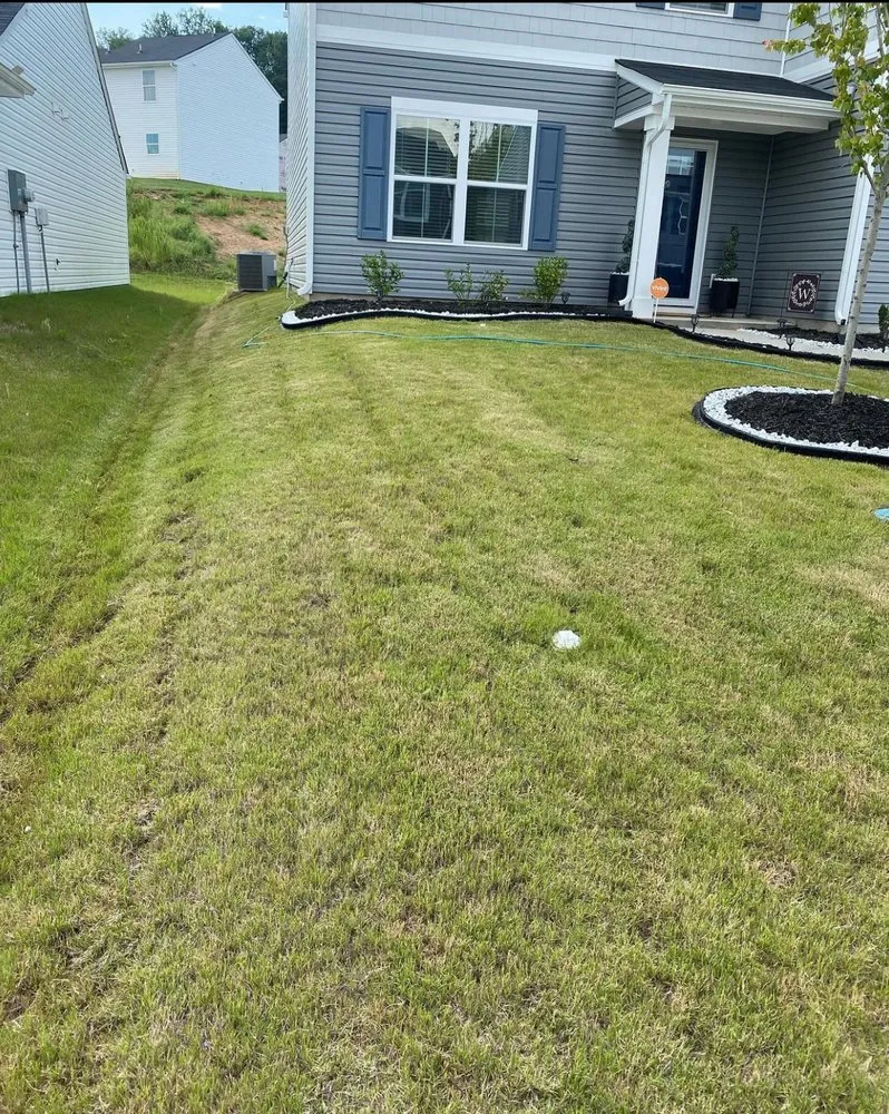 Custom yard cleanup service experts serving Woodruff, SC - Green Thumb Lawn Care Solutions