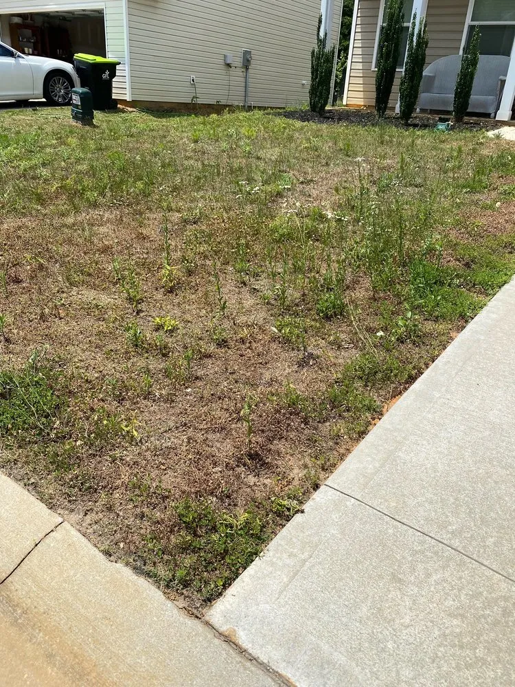 Professional yard maintenance experts serving Woodruff, SC - Green Thumb Lawn Care Solutions