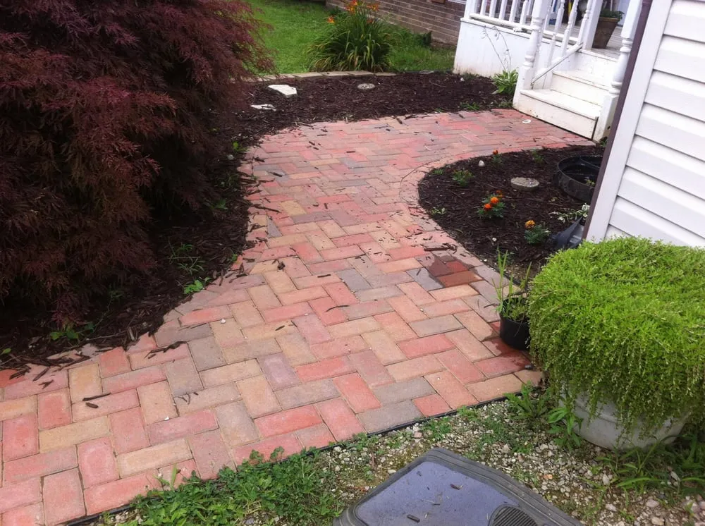 Custom yard cleanup service in McDermott, OH - Green Thumb Lawn