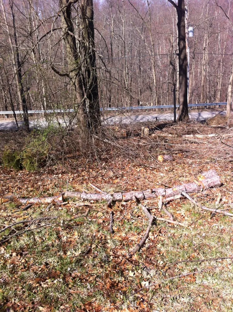 Trusted yard maintenance in McDermott, OH - Green Thumb Lawn