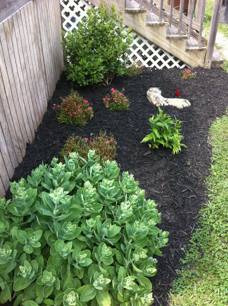 Professional lawn mowing service for beautiful yards across McDermott, OH - Green Thumb Lawn