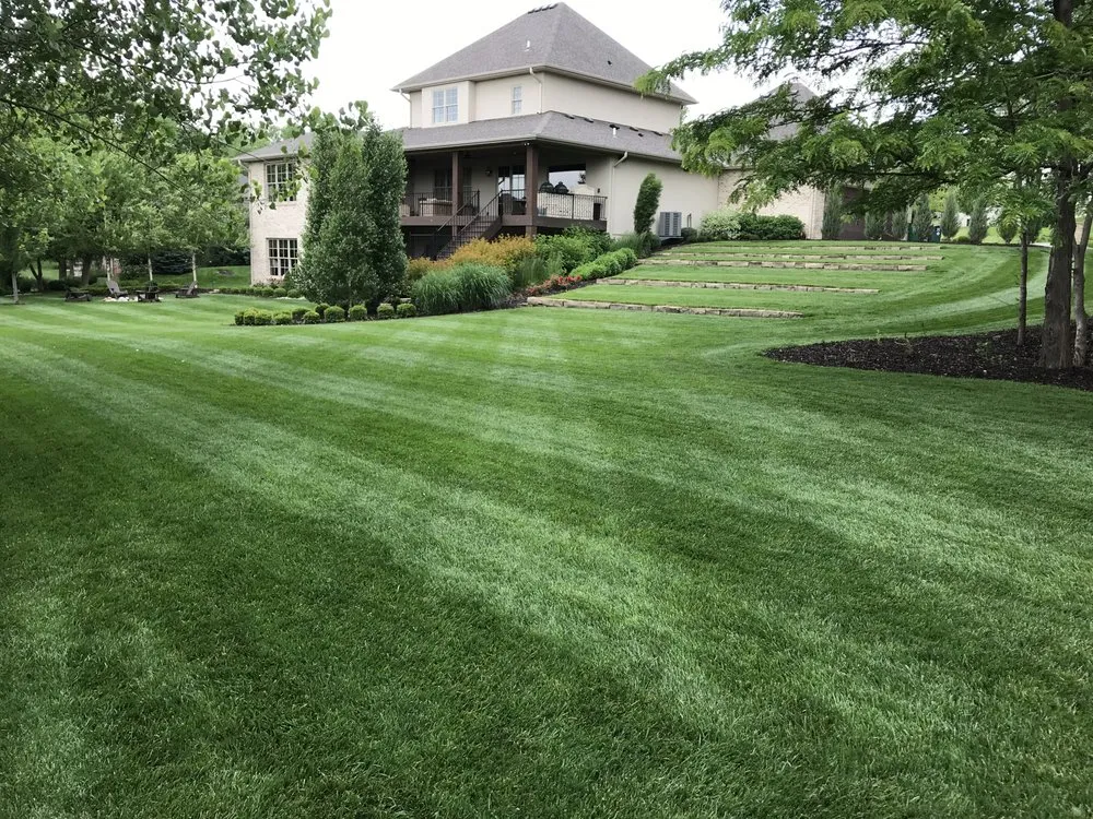 Custom yard cleanup service experts serving Milford, NE - Green Thumb Lawn Service