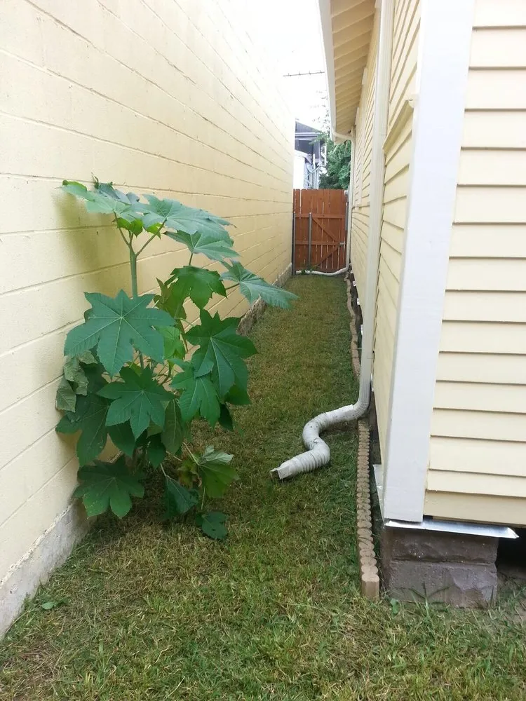 Professional yard cleanup service experts serving New Orleans, LA - Green Thumb Lawn Service