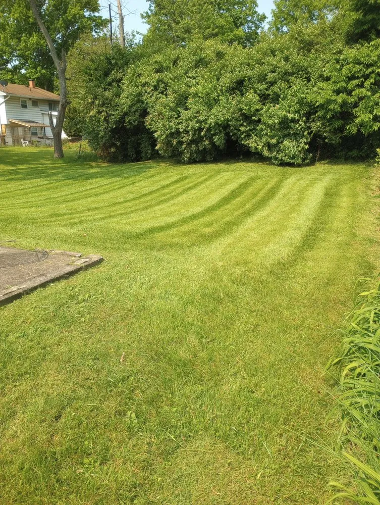 Reliable residential landscaping in Cincinnati, OH by Green Thumb Lawncare And Landscaping