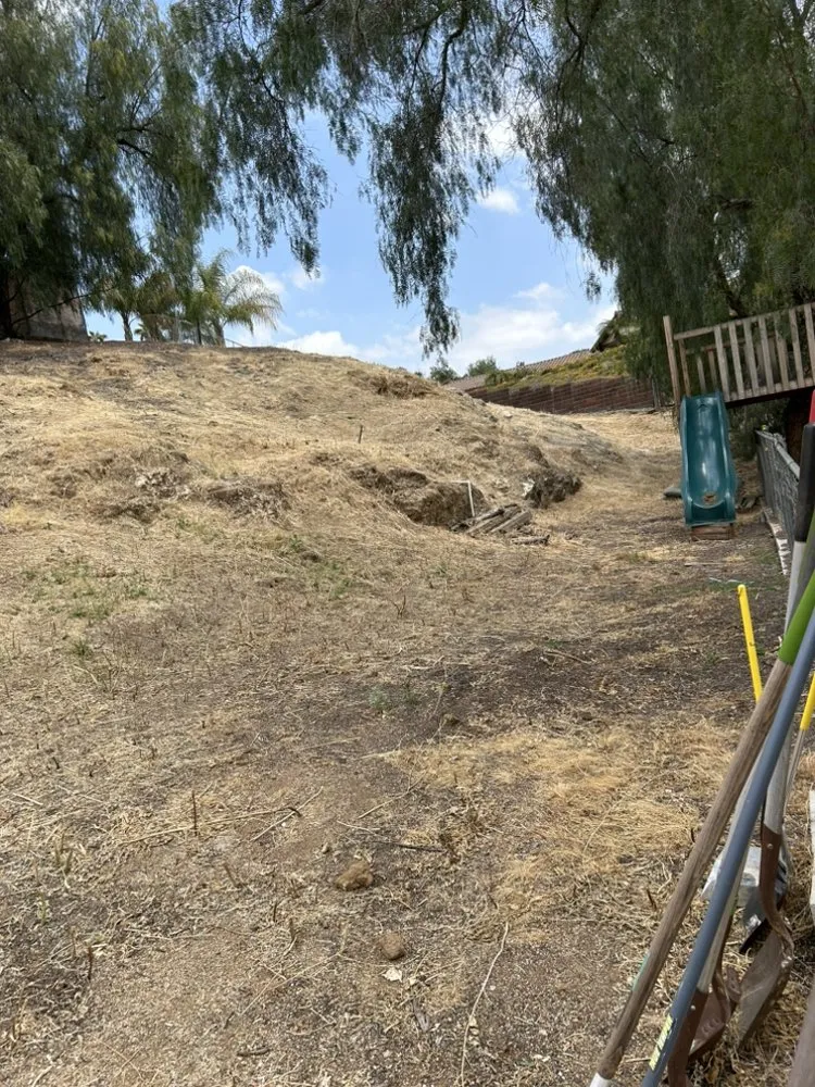 Expert lawn care service in Riverside, CA - Green Thumb Lawncare Maintenance