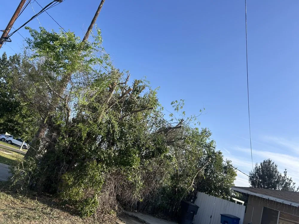 Reliable lawn mowing service near you in Riverside, CA by Green Thumb Lawncare Maintenance