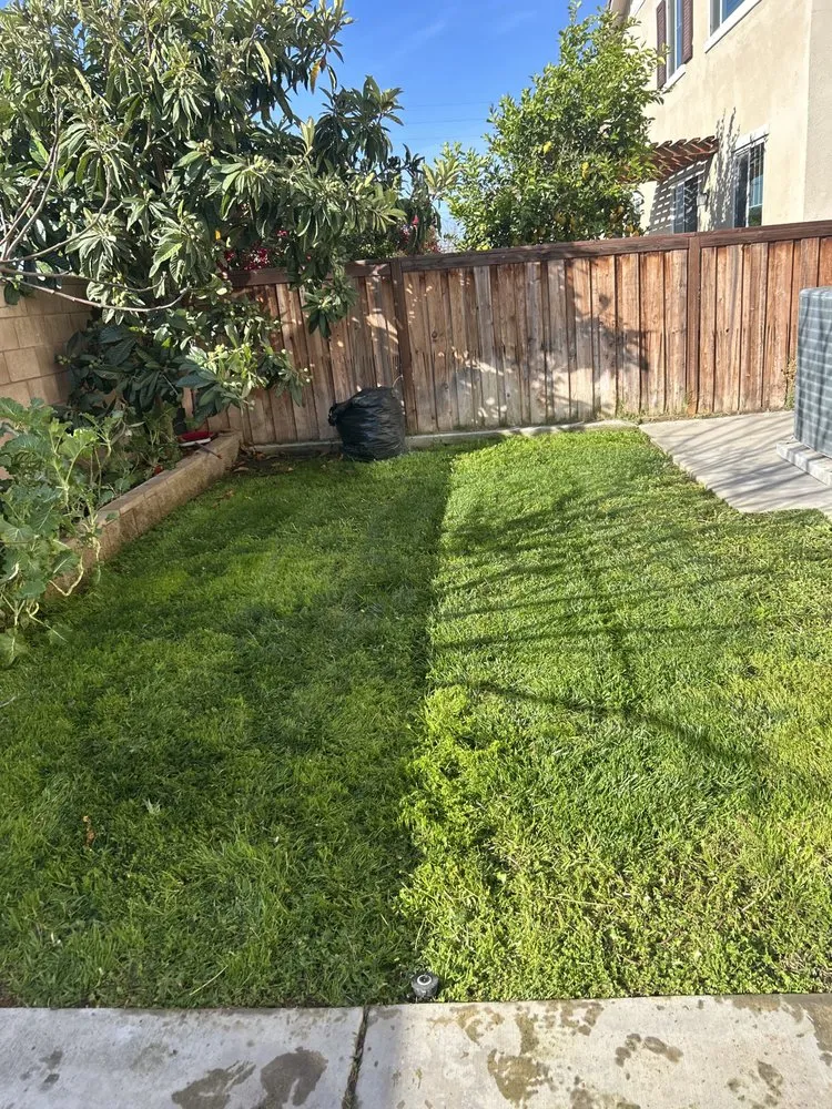 Affordable yard cleanup service for homes across Riverside, CA - Green Thumb Lawncare Maintenance