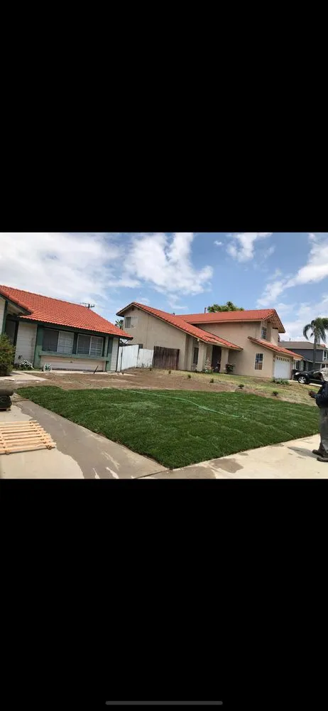 Professional yard cleanup service in Riverside, CA by Green Thumb Lawncare Maintenance