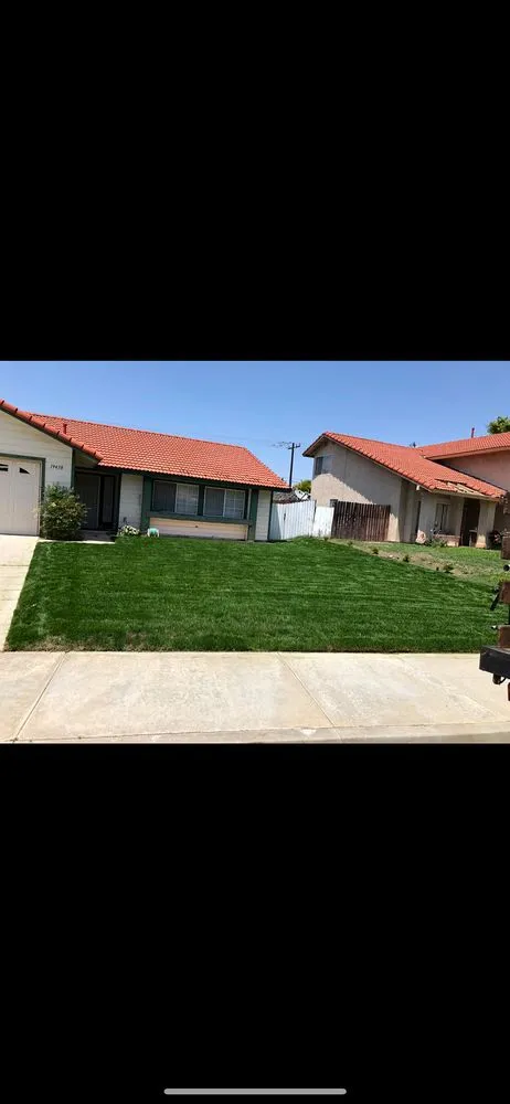 Local yard maintenance for year-round maintenance in Riverside, CA by Green Thumb Lawncare Maintenance